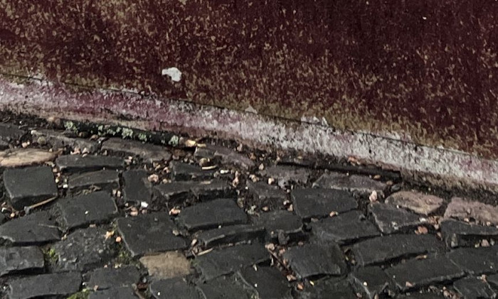 Das iPhone 13 Pro Max hat eine etwas bessere Kantenschärfe als die beiden Samsung-Geräte. (Bild: Tobias Költzsch/Golem.de)